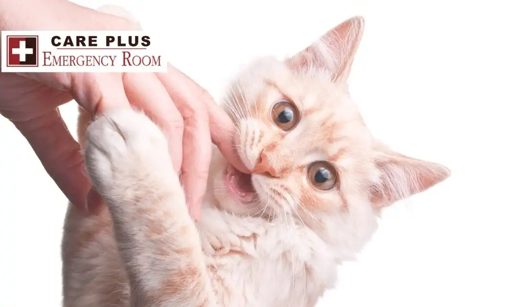 Bite Injuries – Animal Bites