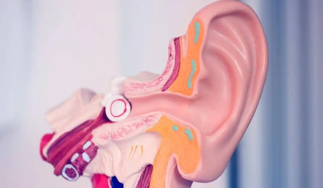Swimmer’s Ear – Otitis Externa