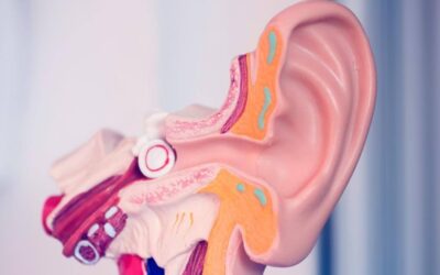 Swimmer’s Ear – Otitis Externa